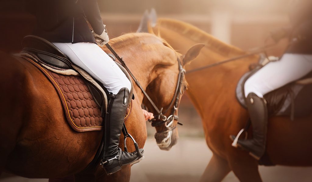 two riders mounted on horses